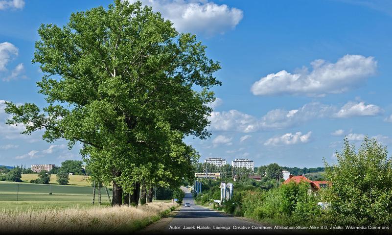 Kościelniki (Kłodzko)