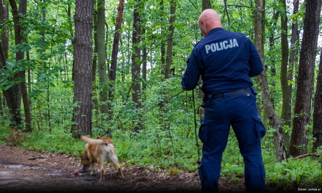 Apel Policji w Kłodzku o Zwiększenie Widoczności Pieszych