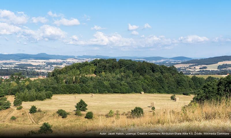 Szyndzielnia (Góry Bardzkie)